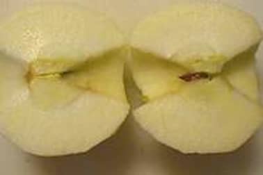 Eplucher et évider une pomme - Etape 6