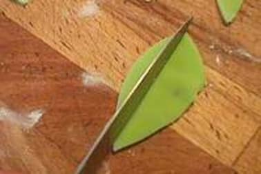 Feuilles en pâte d'amande - Etape 4