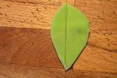 Feuilles en pâte d'amande - Etape 5
