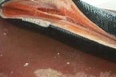 Lever des filets de saumon - Etape 3