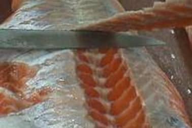 Oter la peau et dégraisser un filet de saumon - Etape 7