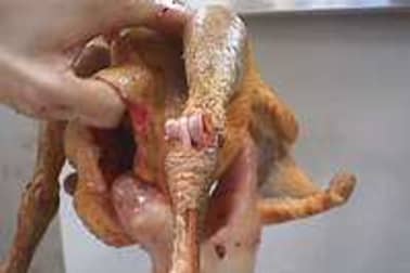 Habiller une volaille - Etape 11