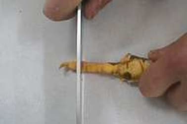 Habiller une volaille - Etape 2