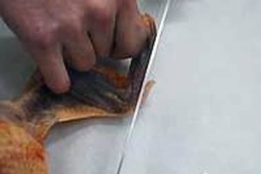 Habiller une volaille - Etape 4