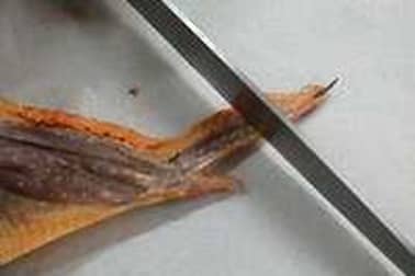 Habiller une volaille - Etape 3