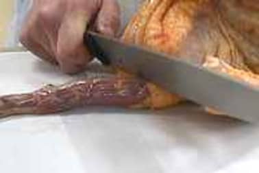 Habiller une volaille - Etape 7