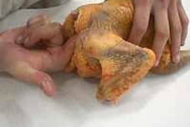 Habiller une volaille - Etape 8