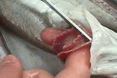 Ecailler et habiller un poisson rond - Etape 9