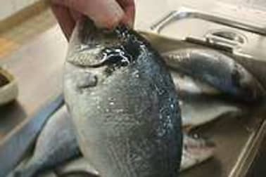 Griller un poisson entier - Etape 2