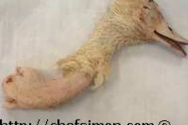 Ris de canard - Etape 1