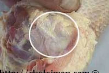 Ris de canard - Etape 3