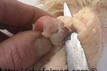 Ris de canard - Etape 5