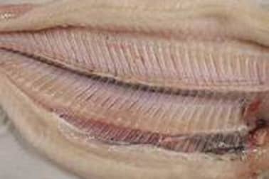 Sole farcie - Etape 7