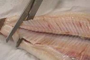 Sole farcie - Etape 14