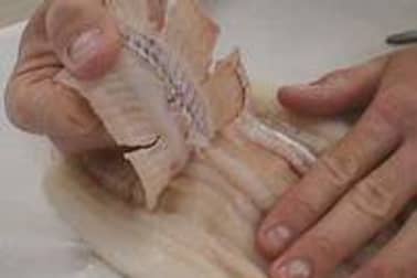 Sole farcie - Etape 15