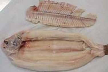 Sole farcie - Etape 16