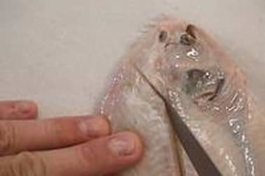 Sole farcie - Etape 3