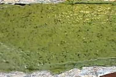 Terrine de poisson 3 couleurs - La cuisson - Etape 10