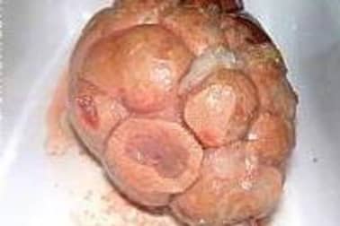 Rognon de veau rôti en coque - Etape 11