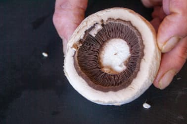 Champignons farcis - Etape 8