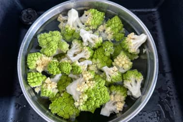 Chou romanesco - Etape 2