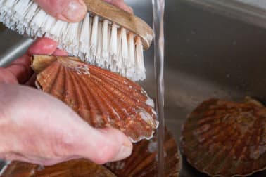 Ouvrir et décoquiller une coquille Saint Jacques - Etape 2