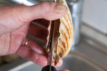 Ouvrir et décoquiller une coquille Saint Jacques - Etape 5