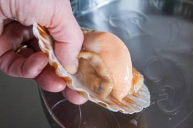 Ouvrir et décoquiller une coquille Saint Jacques - Etape 6