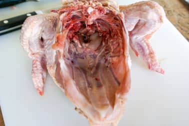 Découper une volaille à cru en 4 ou 8 morceaux - La découpe des cuisses - Etape 11