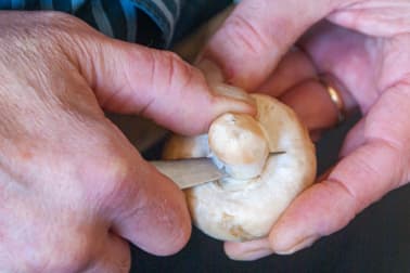 Duxelles de champignons - Etape 3