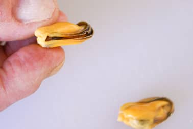 Ebarber les moules - Etape 2