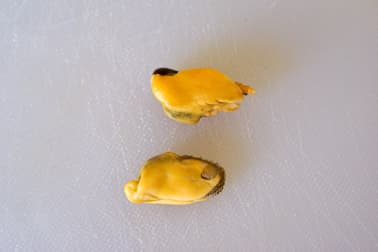 Ebarber les moules - Etape 5