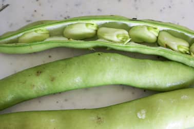 Fèves à l'anglaise - Etape 1