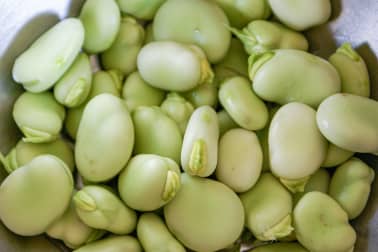 Fèves à l'anglaise - Etape 2