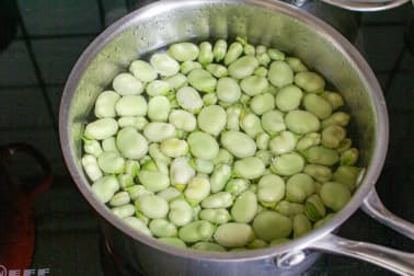 Noix de saint Jacques sur crème de fèves - Etape 1