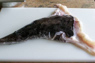 Habiller une lotte - Etape 1