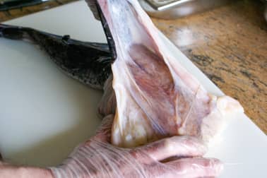 Habiller une lotte - Etape 3