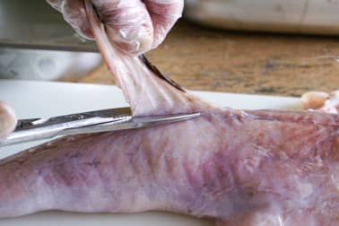 Habiller une lotte - Etape 5