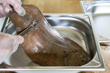 Habiller une sole - Etape 1