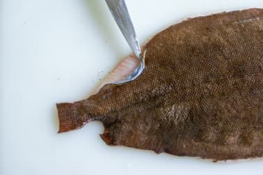 Habiller une sole - Etape 4