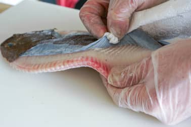 Habiller une sole - Etape 8