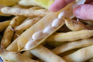 Haricots cocos liés au beurre - Etape 2