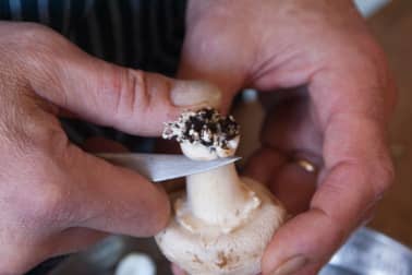Nettoyer les champignons - Etape 2