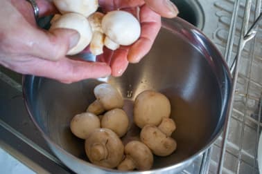 Nettoyer les champignons - Etape 5