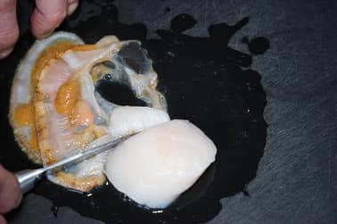 Parer une noix de saint Jacques - Etape 2