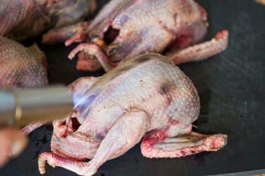 Pigeon en cocotte à la française - Etape 1