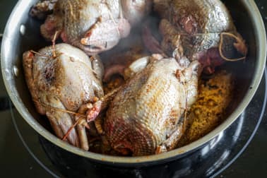 Pigeon en cocotte à la française - Etape 8