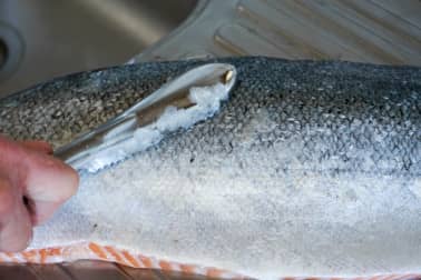 Gravlax de saumon - Etape 1