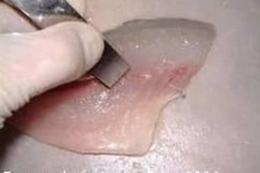 Filets de daurade - Etape 3