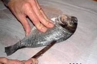 Filets de daurade - Etape 1